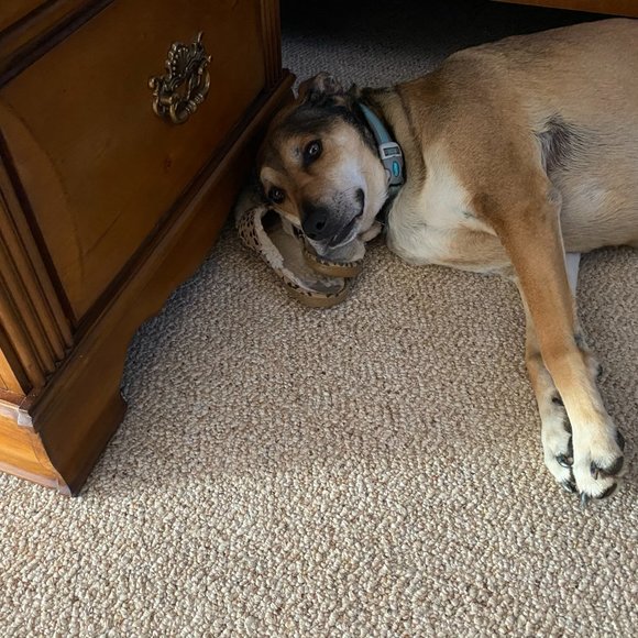 Ace's Outlet - Picture 2 of 4